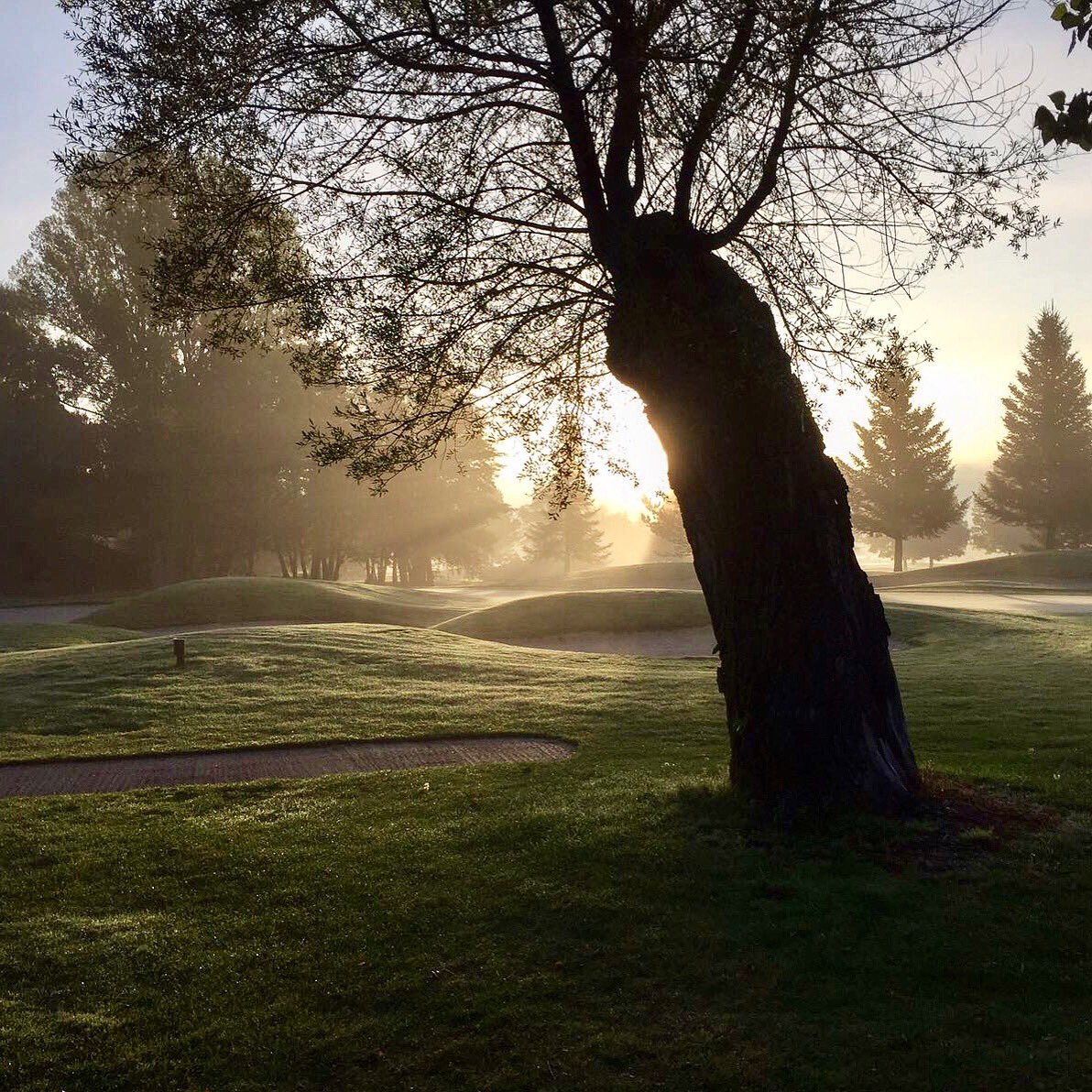 ¡Buenos días! Este puente, como siempre, os esperamos en #FontanalsGolfClub! 🙌🏌️🏌️‍♀️ #golfcatalunya #golf #pasionporelgolf