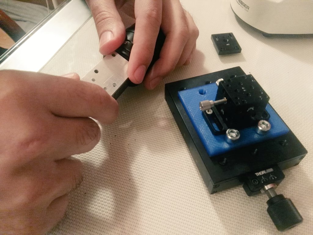 loopbio quantitative biology tweet media