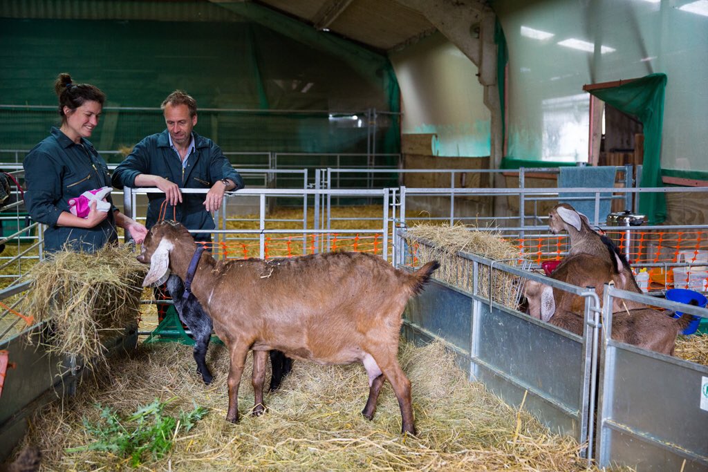 After their win at the #greatbritishcheeseawards, discover more about a day with @nortonandyarrow chilternsfoodmagazine.co.uk/24-hours-with-… #chilterns