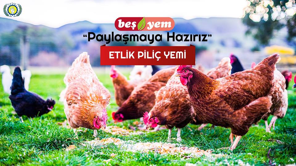 Beşyem Etlik Piliç Yemi 
Etlik piliçlere 10-24. günler arası sürede yedirilen yemdir.
#broiler #besyem #etlikpilicyemi