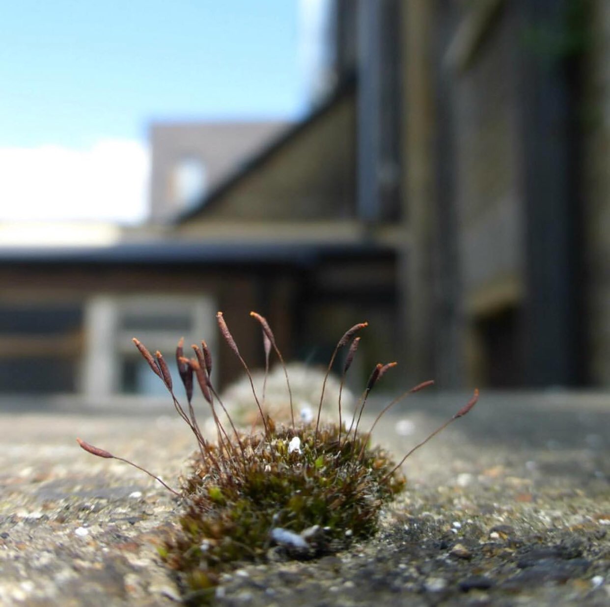 Sarah 🍓 on Twitter: