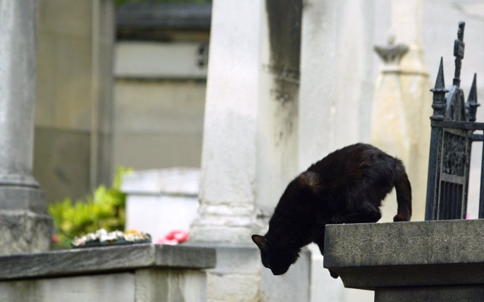 TheInvestorBusi's tweet photo. In honour of #Friday13th !! wld you buy a flat on Friday 13th; if the door number was 13 or on the 13th floor? https://t.co/ATOycgVpAJ https://t.co/mgZUJ5cRhP