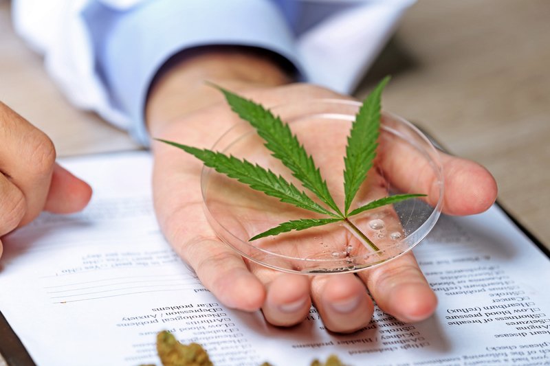 SCIEXnews's tweet photo. Discover the method that overcomes #cannabinoidtesting limitations @specANDsepNOW https://t.co/nOIdH8TKCD https://t.co/iG8UXiHcoD