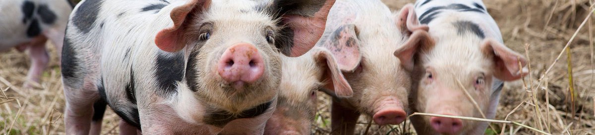 *BLOG* Linking food, #farming &amp; #nature – reflections on #Extinction17 conference by <a href="/HarryGreenTweet/">Harry Greenfield</a> #Extinction17 wcl.org.uk/extinction-and…