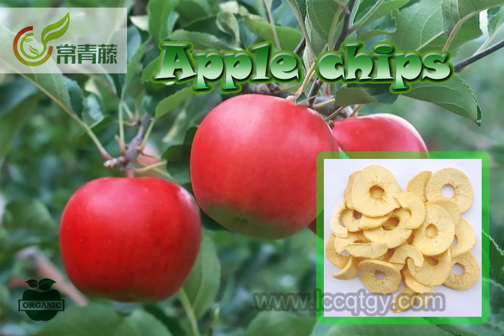 Ivy_cqt's tweet photo. Popular snack - Apple chips
https://t.co/4w4FxXUJU4           
#Apple #Applechips #Chips #Sweet #Delicious #Fruits #luochuan #snacking https://t.co/qT6aWeHSdG
