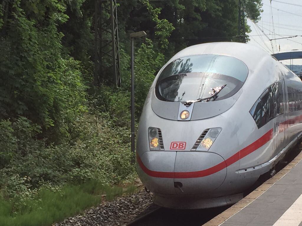 الأزهر | ‏🇵🇸 ‏ tweet media