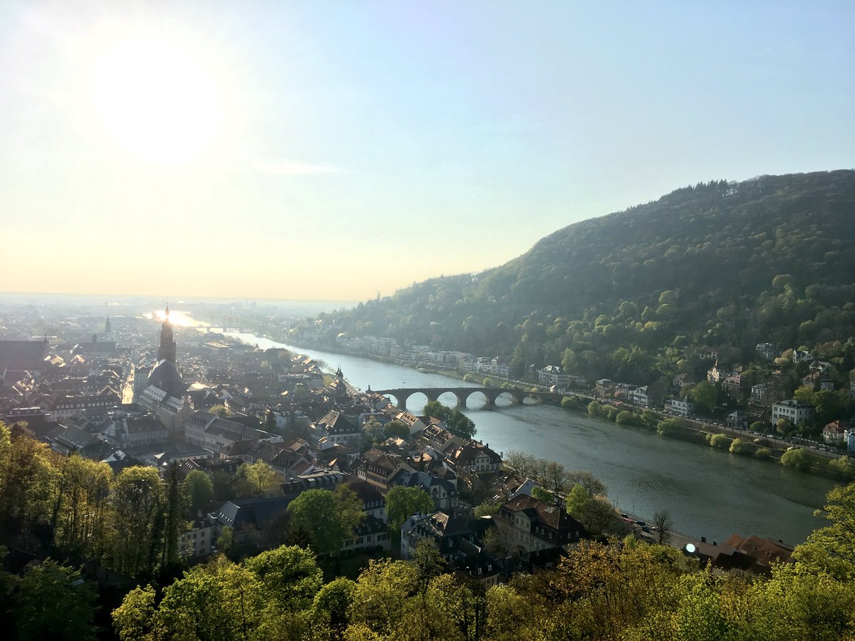 الأزهر | ‏🇵🇸 ‏ tweet media