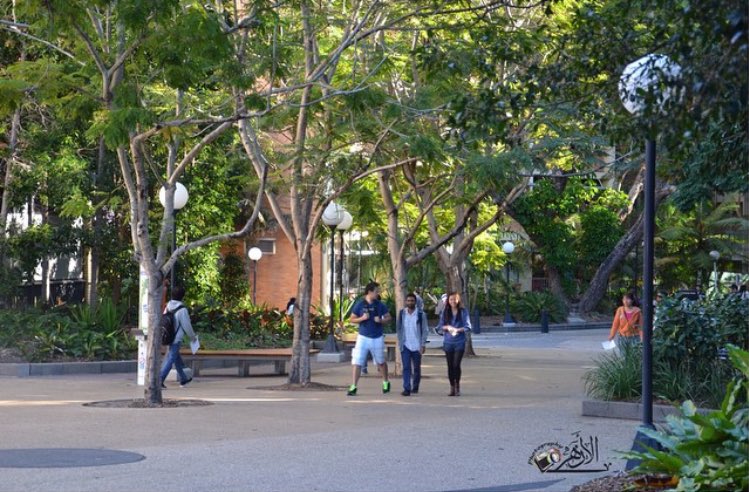 الأزهر | ‏🇵🇸 ‏ tweet media