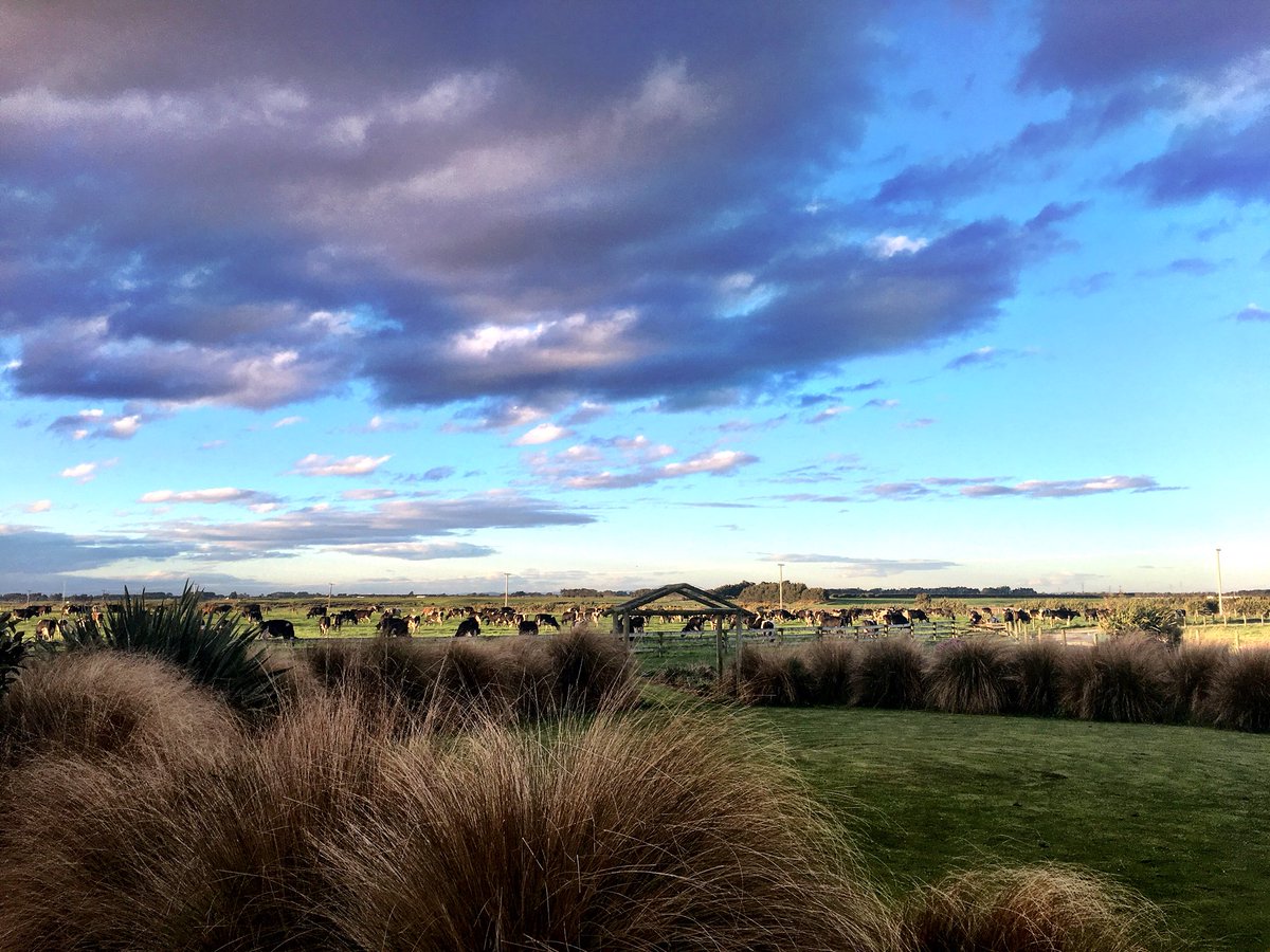 luttethys's tweet photo. Beautiful evening in #mysouthland #431AM #agchat #NationalFarmersDay https://t.co/WETYZtpzJA