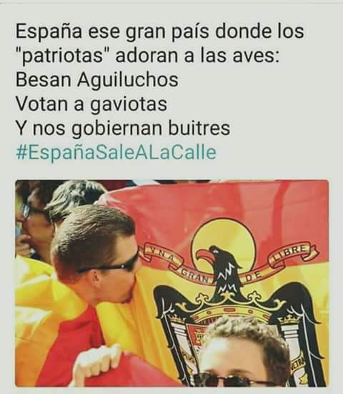 amparopujadas's tweet photo. https://t.co/oGYVGPpIsz