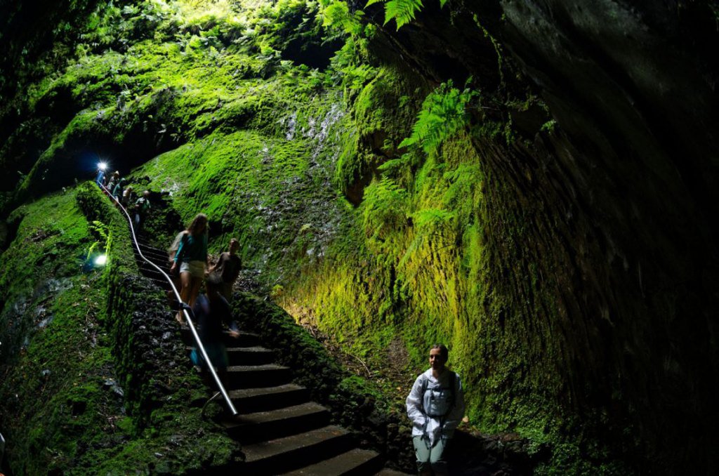 lifeinportugal tweet media