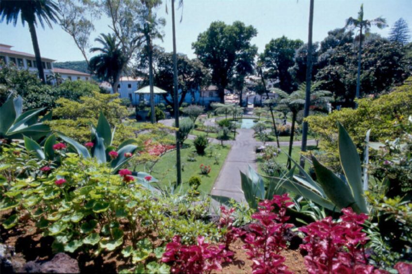 lifeinportugal tweet media