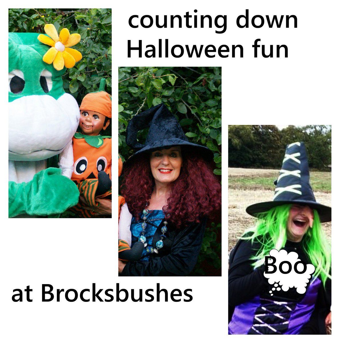 eileenandjoe's tweet photo. @brocksbushes #musttrysomecaketoday #willifalloffmybroomstick #Halloween #pumkinrobbery #witchyfun @neconnected @the_Crack @NEFamilyFun https://t.co/py93RCQZck