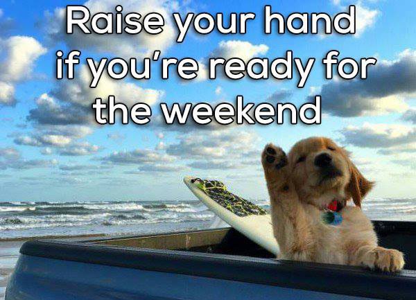BestinRecruit's tweet photo. Everyone at @BestinRecruit has that #FridayFeeling! Lots of placements this October and we're taking on new staff! Happy weekend, everyone! https://t.co/BHlZ0YO0Xz