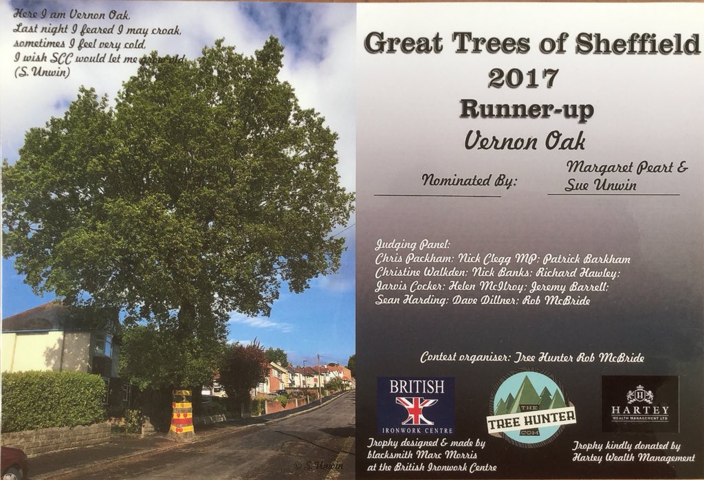 sj_unwin's tweet photo. @SAVEDORETREES @SheffCouncil It was being runner up in #GTOS17 &amp; your lovely certificate that appeared to win her round @thetreehunter #StandWithVernon #SaveSheffTrees https://t.co/h5NRpQMTCj
