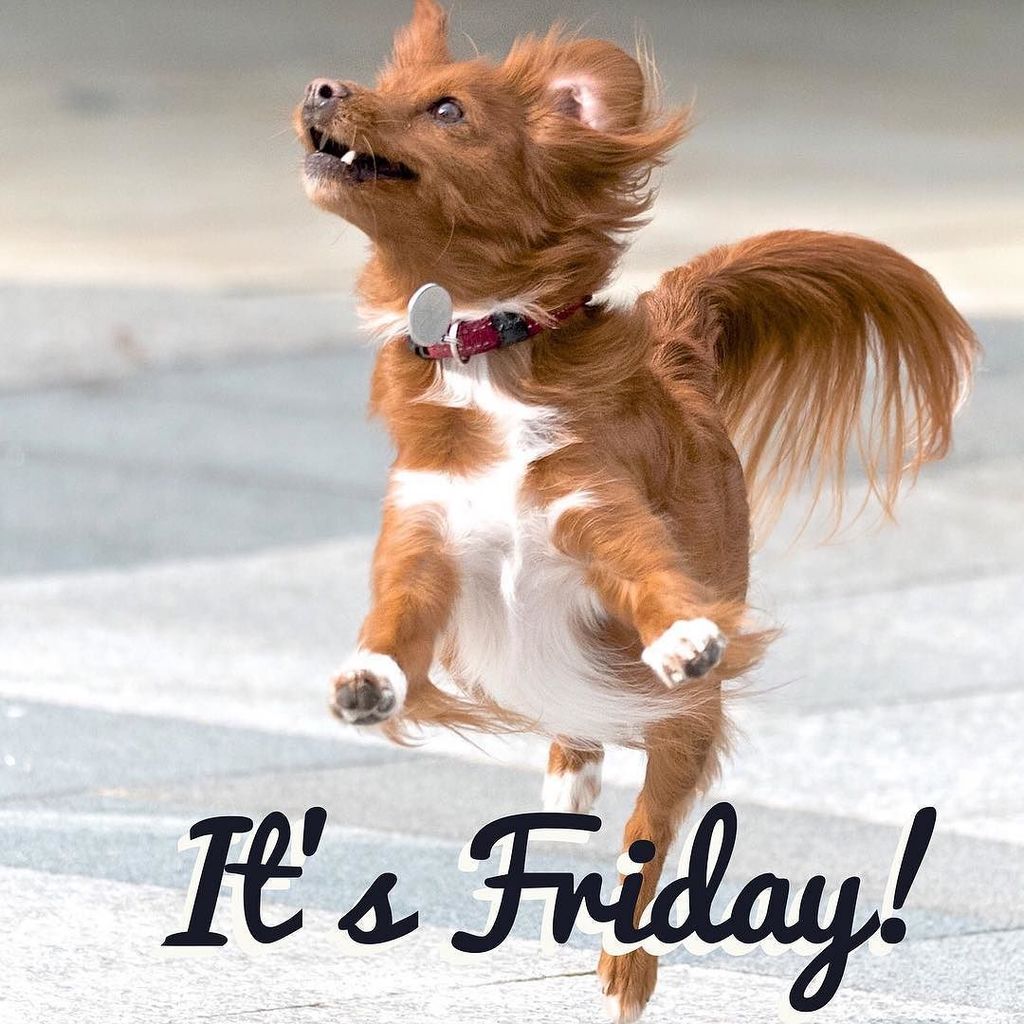 Purelygifts's tweet photo. Have a happy Friday! Enjoy your day #nearlytheweekend #celebrate #gooddays https://t.co/RTrOQQj55F
