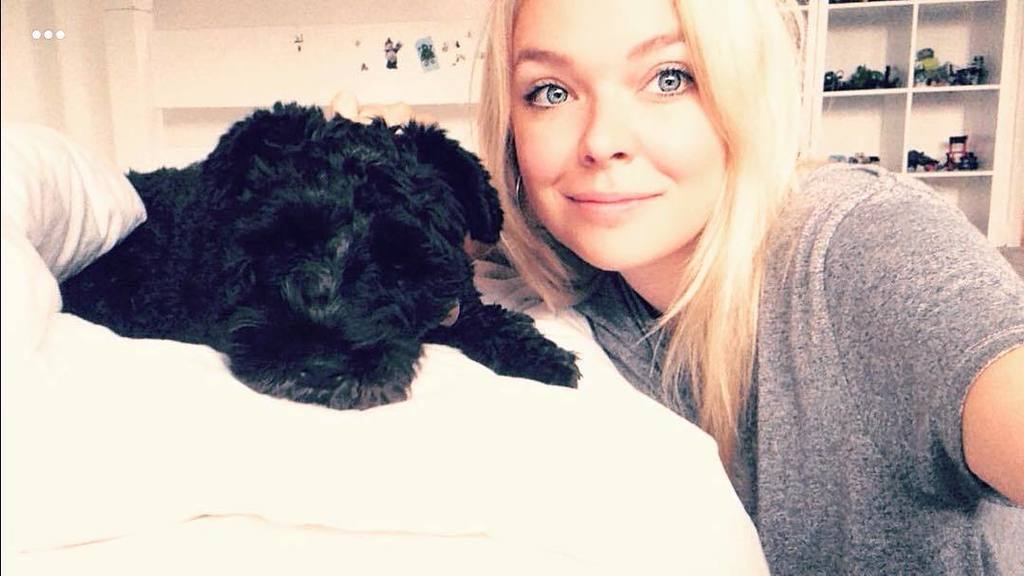 mckay_hayley's tweet photo. Little Rosie waking me up this morning, last day at Audiobeach today, album is sounding class π#album #audiobeach #itsadogslife #brighton β¦ https://t.co/1NQgHCmTbx