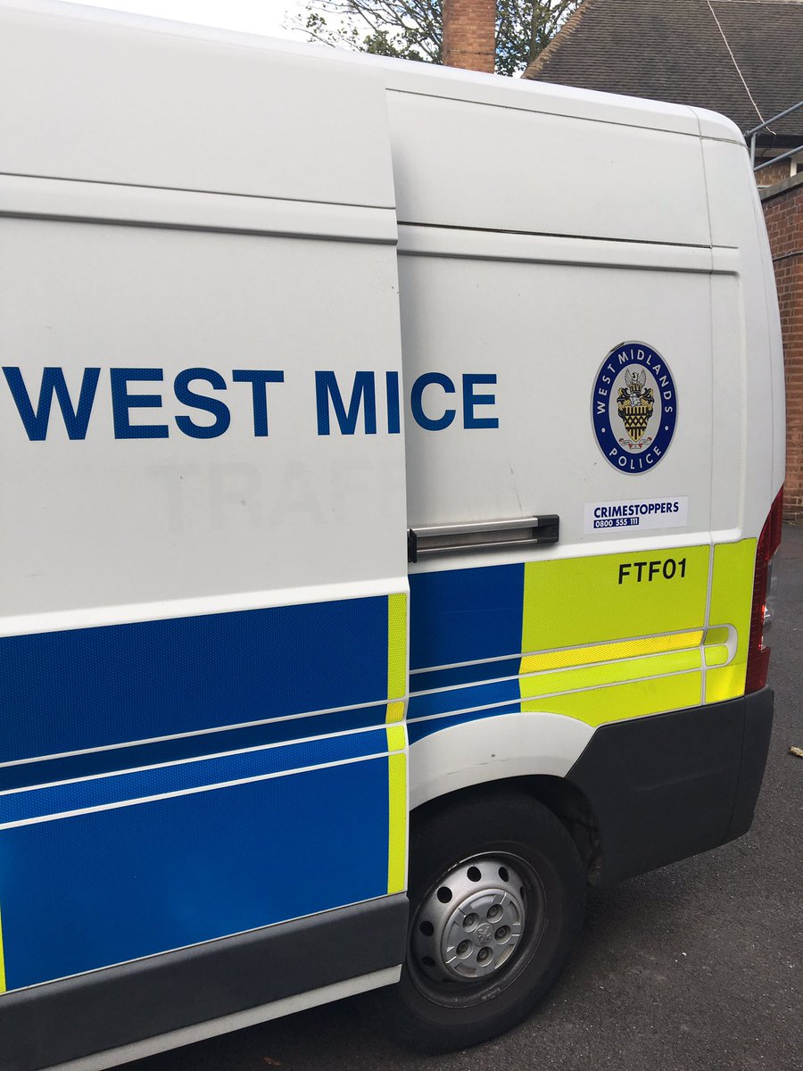 Any cats need arresting? We have just the team to do it! 🐭🚓🐭