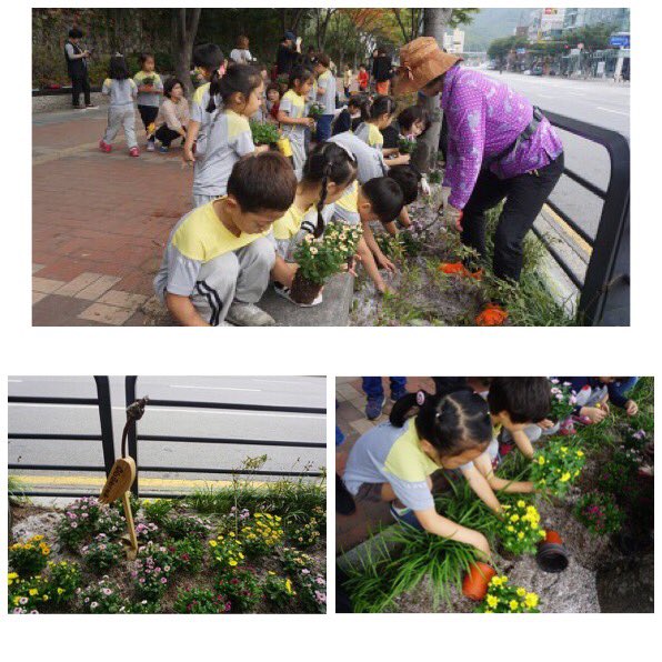#성남시국공립양지어린이집  우리마을 꾸미기 행사로 7세 친구들이 어르신들과 함께 을지대 앞 걷고 싶은 거리에 예쁜 꽃을 심어주었어요~ 꽃을 다 심은 후 관찰하며 뿌듯해하는 친구들이에요~^^