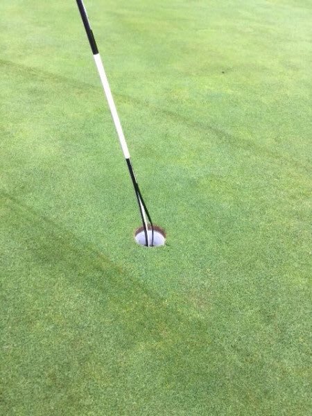 Bru_sterRooster's tweet photo. @ScottH_ @pauldrury126 @WestLintonGolf @Gprowright @McClueless Nipped off the cherished turf & went in at pace. Pin wasn't too happy afterwards. #par4eagle #nothowbuthowmany #captainchipin https://t.co/YhSOIu7AYl