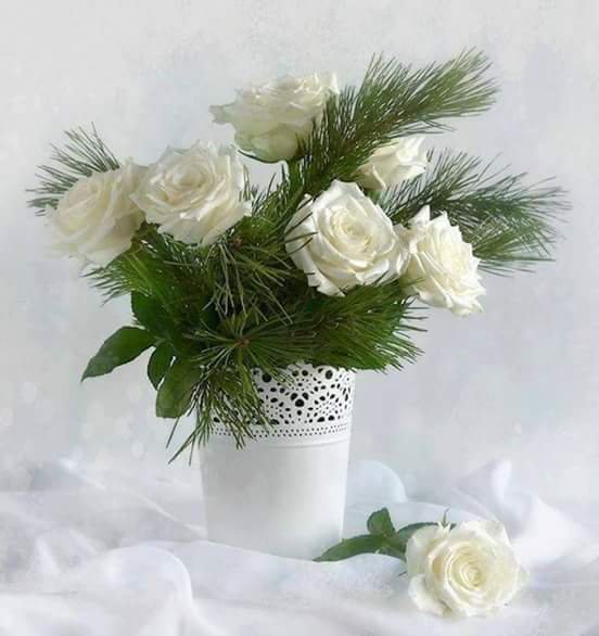 ms__k8's tweet photo. إهداء مني @__llllq 

#مزاجي 

لعيون #قروب_المسك 

بمناسبة مرور أربع سنوات من الإبداع 

🐦@ms__k8 🐦 https://t.co/ZYywxaRmkf