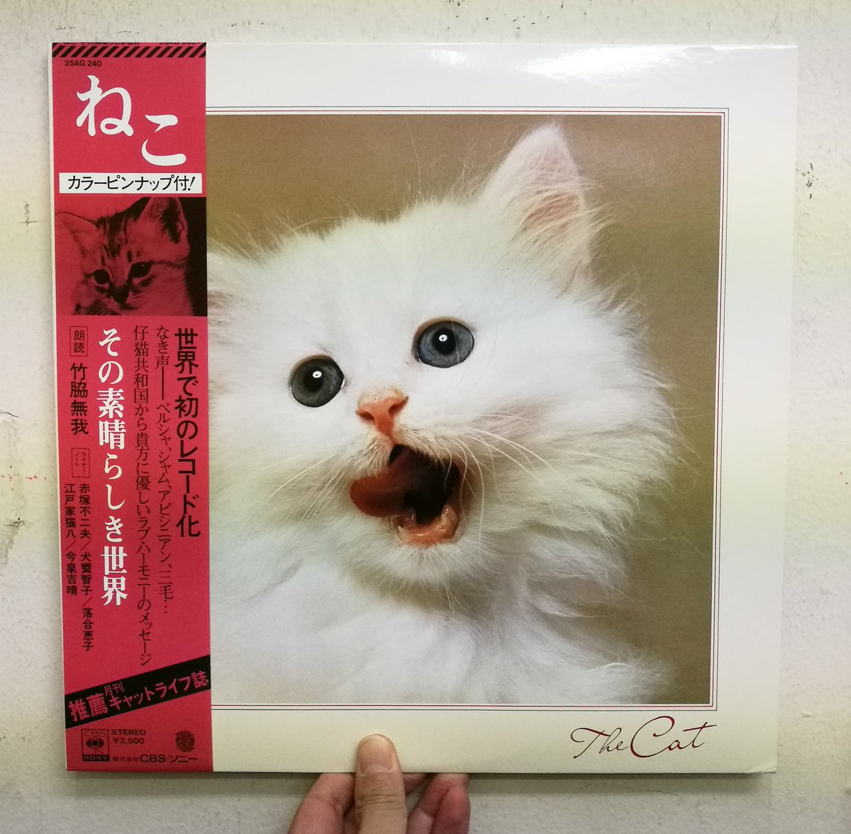 NEKOSEN LPレコード 猫ジャケット 未使用 【公式通販】