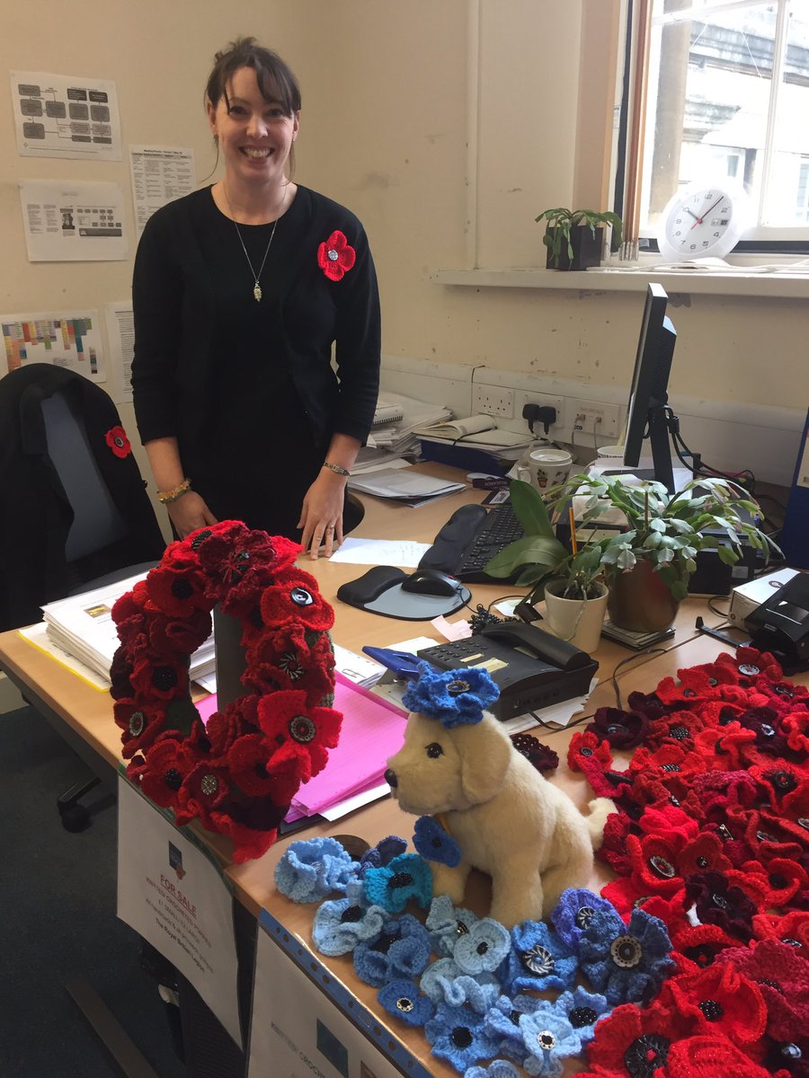 BerksResearch's tweet photo. @jojoneszz has a see of hand made red and blue poppys - proceeds to charity. Come and get yours from R&amp;D level 2 North Block @PoppyLegion https://t.co/O1iese9Pvm