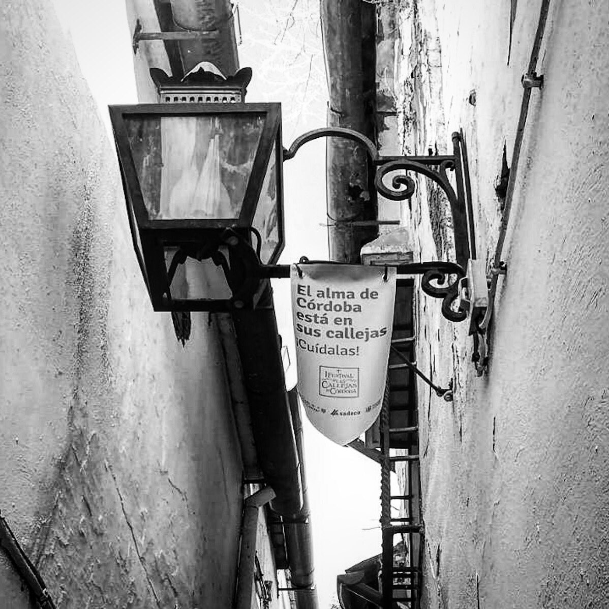 undiaenmimundo's tweet photo. Hastael 15/oct primer @fescallejas en @CordobaESP Vota mi foto #concursofotocallejas dándole me gusta en instagram👉🏼 https://t.co/rGtEx7trNA https://t.co/b5U9zF4eyH