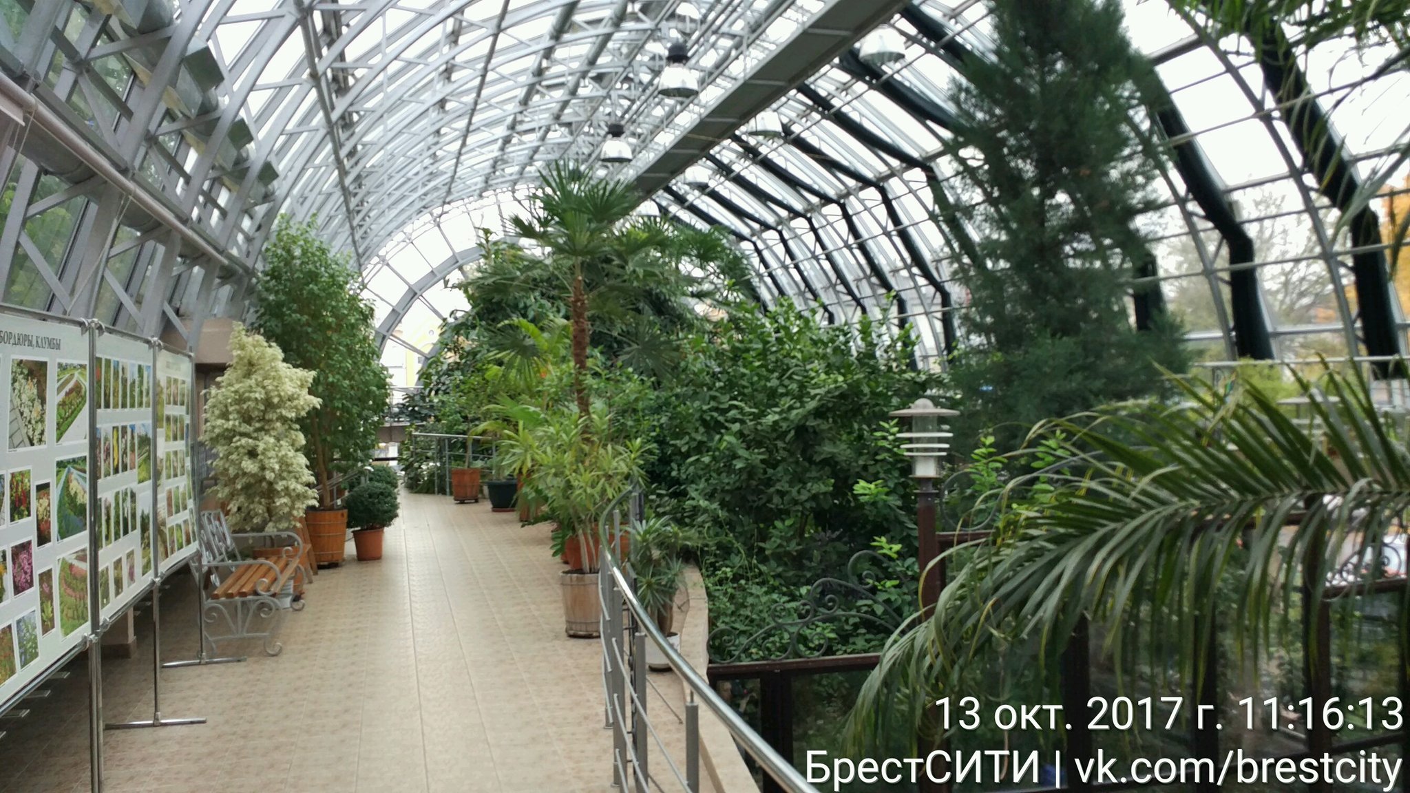 Зимний сад брест