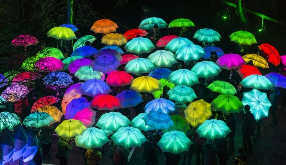 VisitBMTH's tweet photo. Over 70 events at Bournemouth Arts by the Sea Festival 2017 #ArtsByTheSea #festival #arts https://t.co/W2GkztQFjf https://t.co/qDerHAAJNS