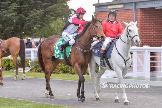 EquianoClub's tweet photo. #SMASHTHEGONG 5G Equiano x Class Prevails (Delago Brom) wins the CORINTHIAN for Barry Goodwin &amp; @reeceywoo123 @newsellspark https://t.co/1IV0Q1HnI0