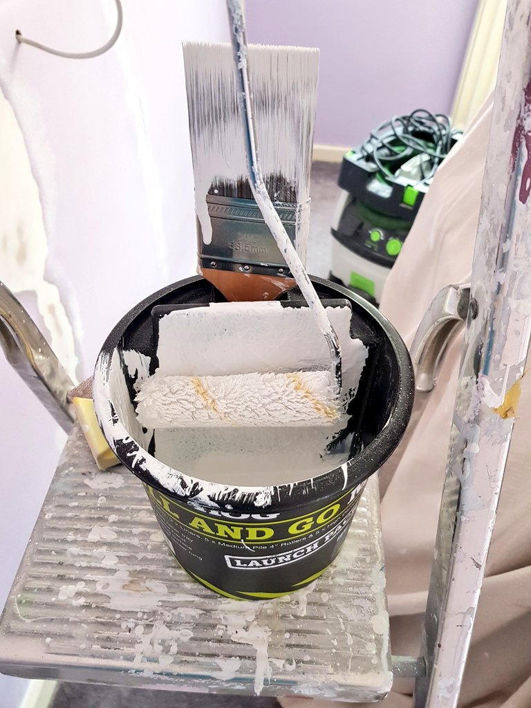 Jenthedecorator's tweet photo. The #RollandGo #FatHog and individually wrapped mini sleeves from @JohnstonesTrade https://t.co/4SCWiT76nz