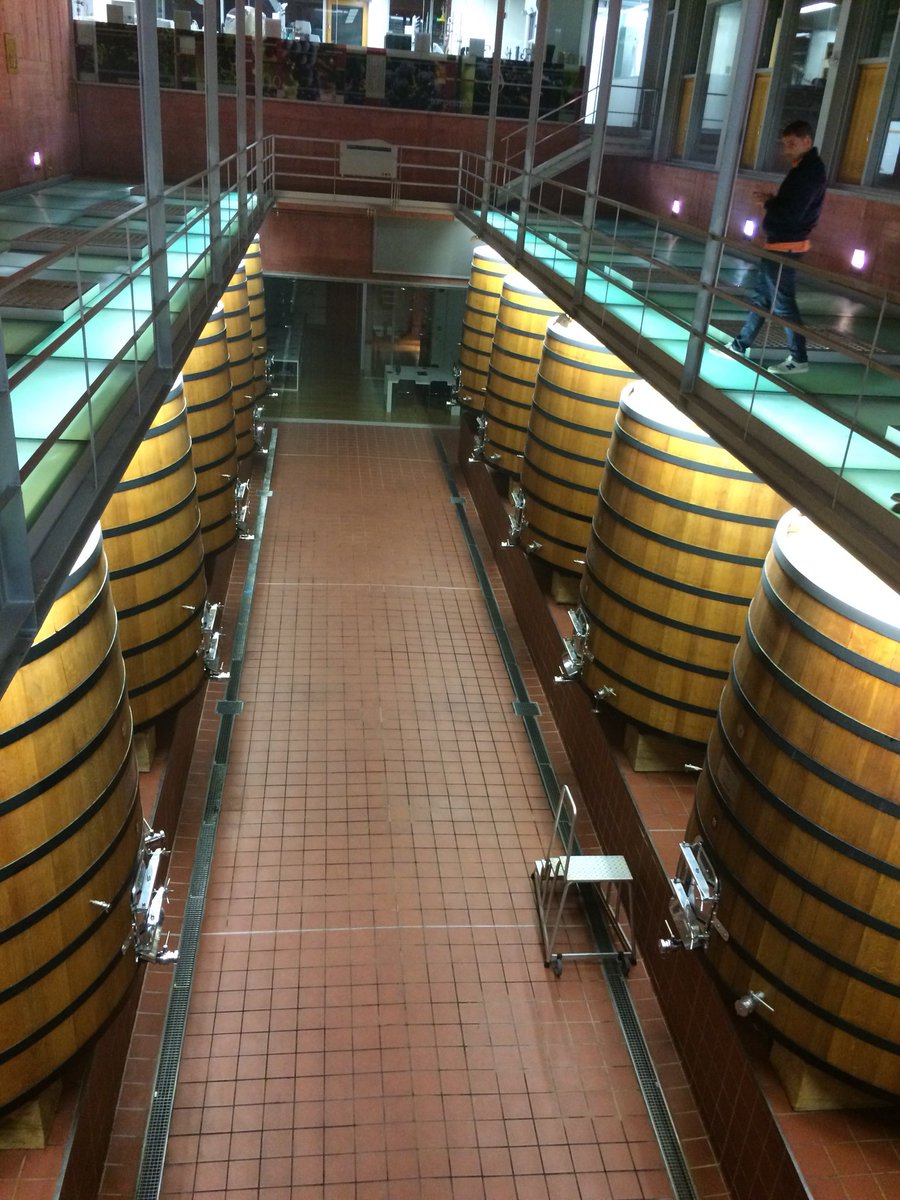 jsoleVins's tweet photo. Gran rebuda a @PagoCarraovejas amb part de l’equip de @vilaviniteca #anyades #terroir amb final de festa @RteAmbivium 🔝🔝🔝 https://t.co/0YVJocK41d