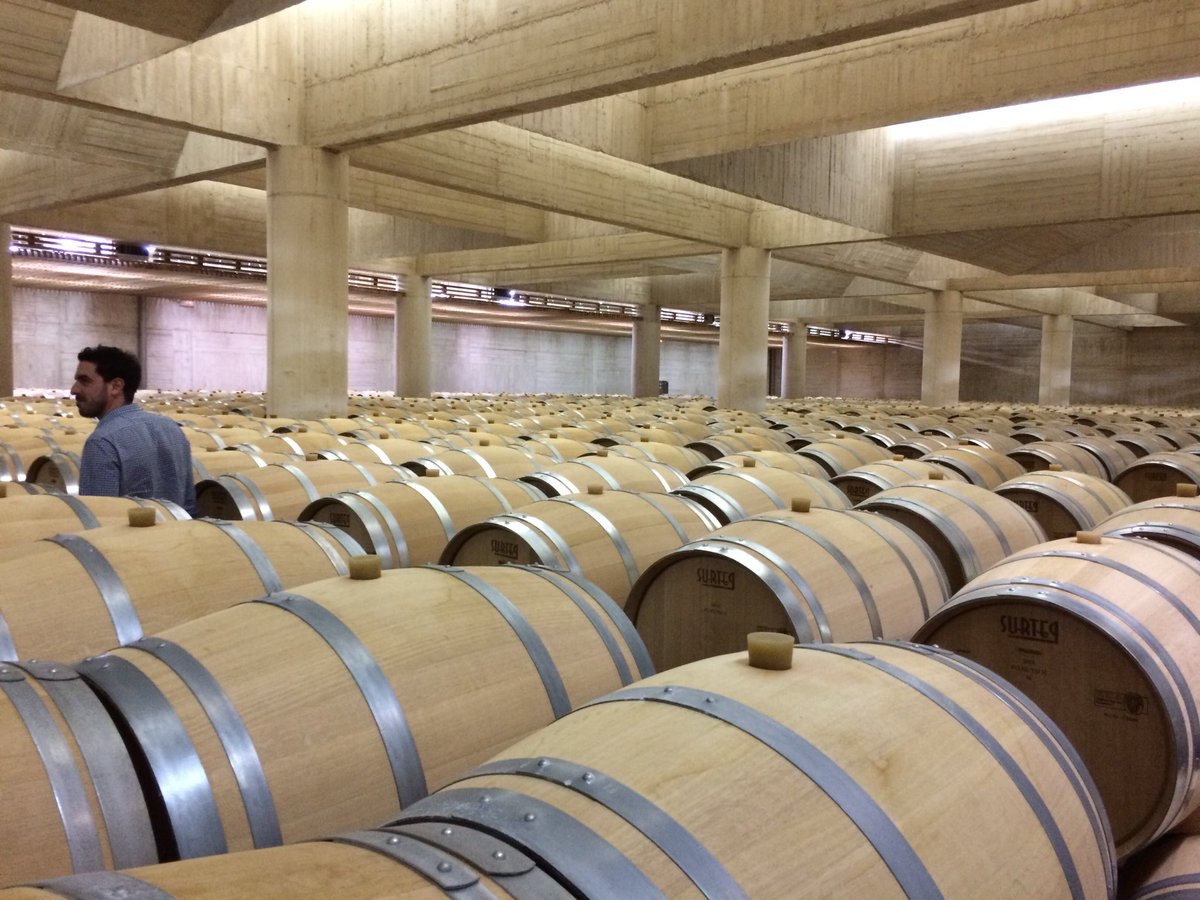jsoleVins's tweet photo. Gran rebuda a @PagoCarraovejas amb part de l’equip de @vilaviniteca #anyades #terroir amb final de festa @RteAmbivium 🔝🔝🔝 https://t.co/0YVJocK41d