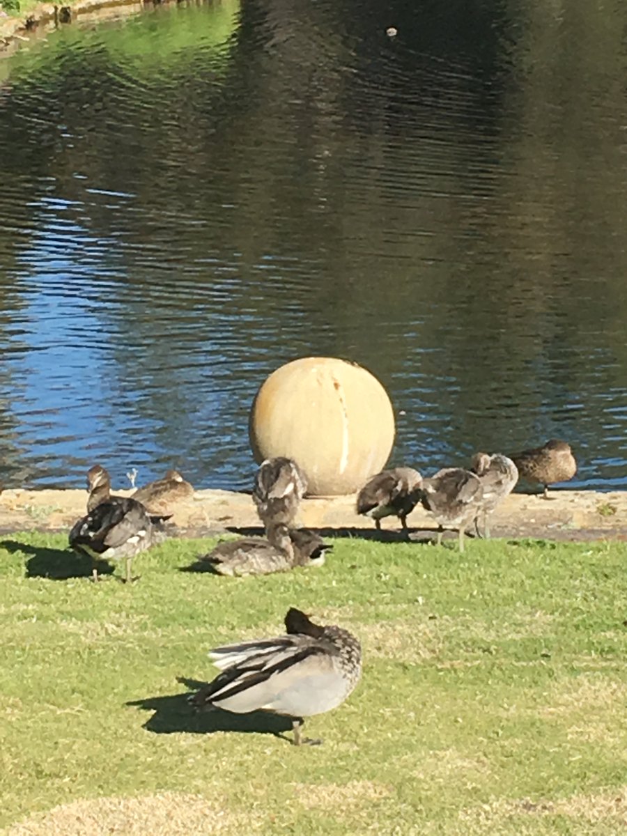 mymindmaster's tweet photo. Enjoying the sunshine day!
#nature #family #learning #love https://t.co/Qk5mQRkQL4
