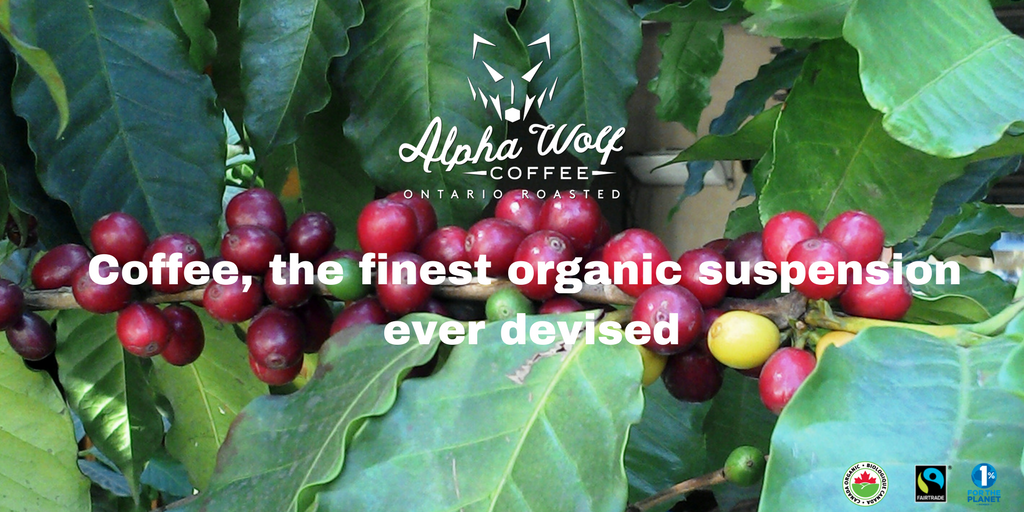 Alphawolfcoffee's tweet photo. I'm sure we all agree!!!! @FairtradeCanada @TOfairtrade @FToakville @OlOakville @CoffeeTeaShow https://t.co/G63p4SX2Ww