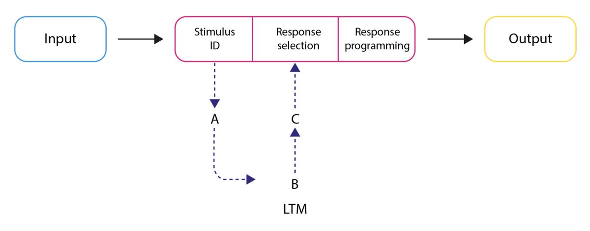 The EverLearner tweet media