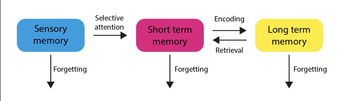 We're thinking about making more of these. Would course batches of images be useful for colleagues?

#pegeeks <a href="/PE4Learning/">PE4Learning.com</a>