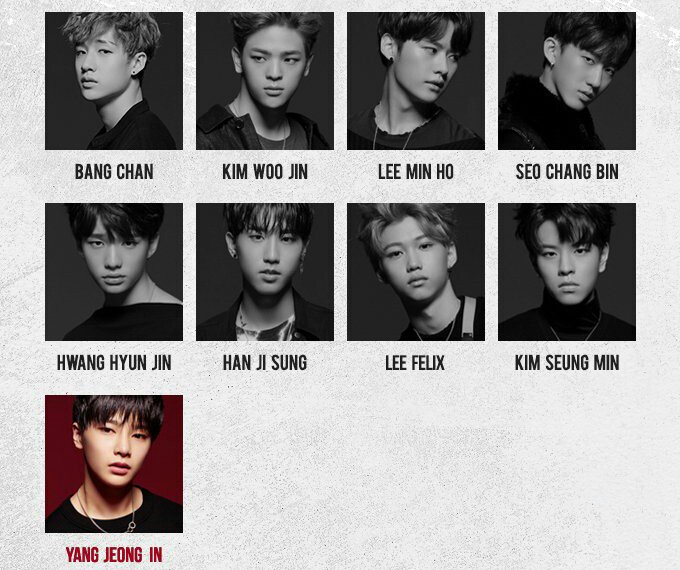 Stray Kids Philippines On Twitter Thread Stray Kids Official Profile Straykids 스트레이키즈 Https T Co V7rk1rmtkv Twitter