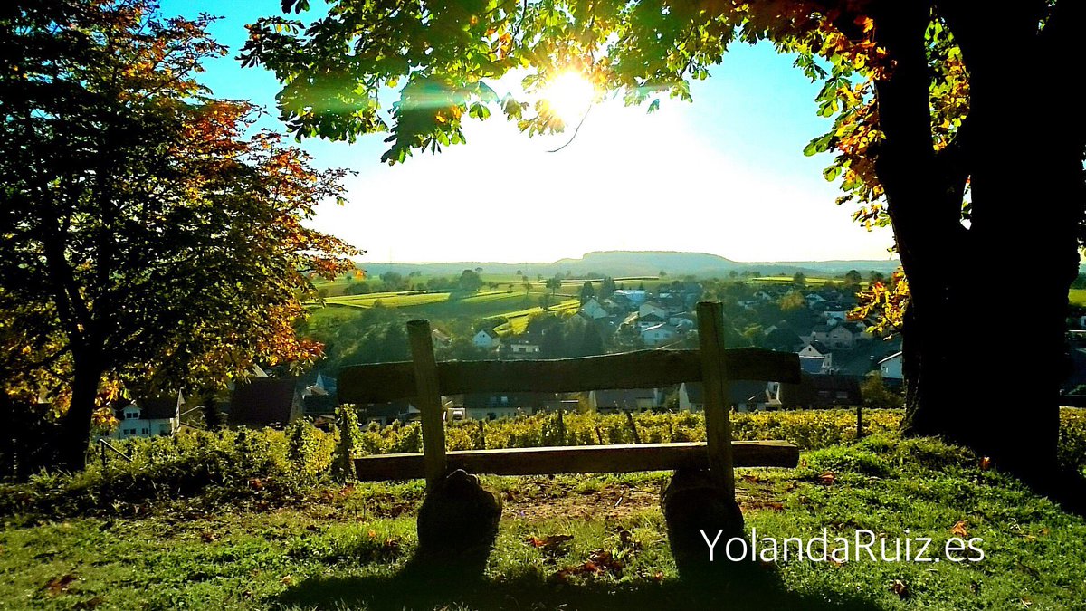 YolandaRuizes's tweet photo. Para amanecer en la luz del día es preciso #despertar la oscuridad de la noche.

Desde mi diván, 
Yolanda Ruiz La Psicoterapeuta https://t.co/xwixjDEax6