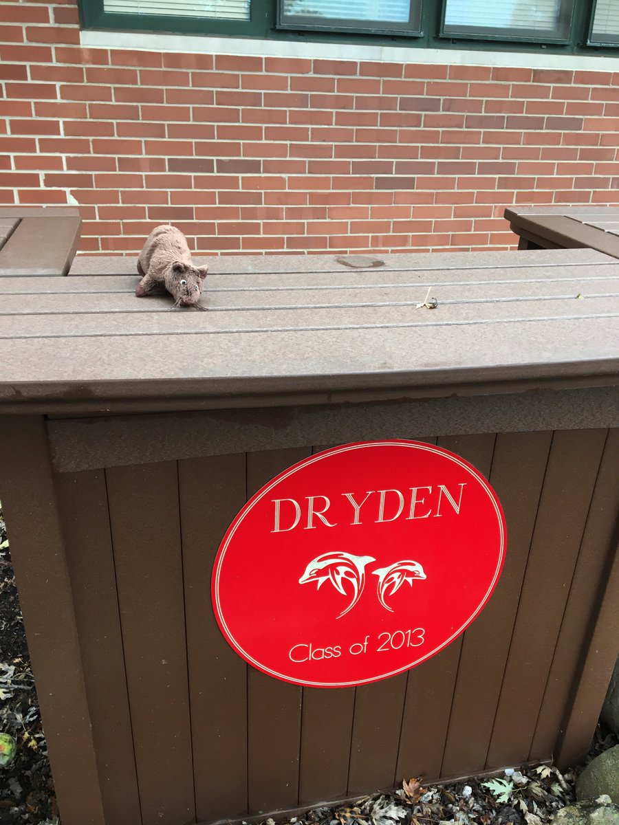 Mrs. Applebaum tweet media