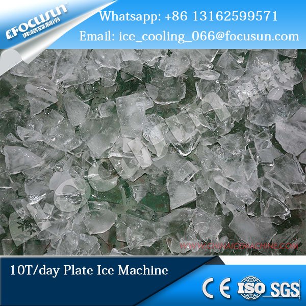 emonum328's tweet image. #Focusun New product top quality 10T plate ice machine for sale.#plateicemachine