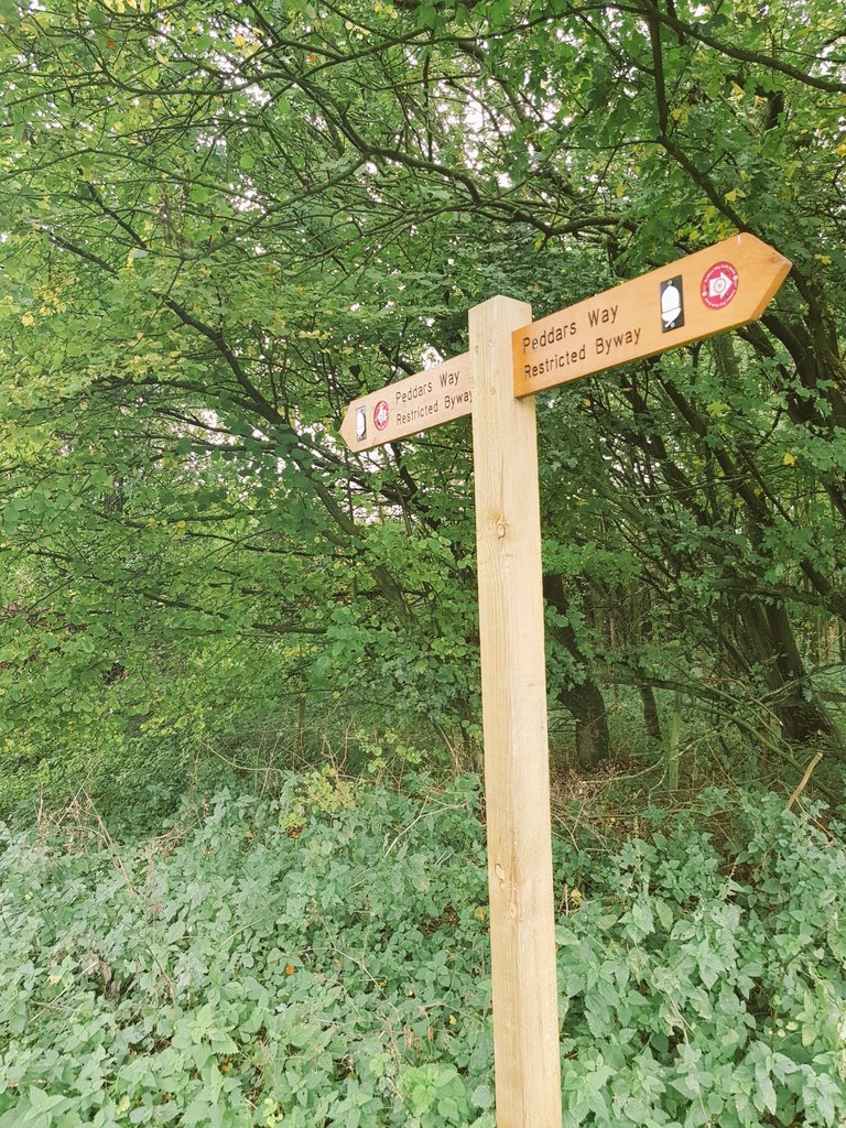 NorfolkTrails's tweet photo. It may be cloudy but it's very warm - perfect for a walk along the Peddars Way near Swaffham #FridayFeeling https://t.co/fwYjdkGoqZ