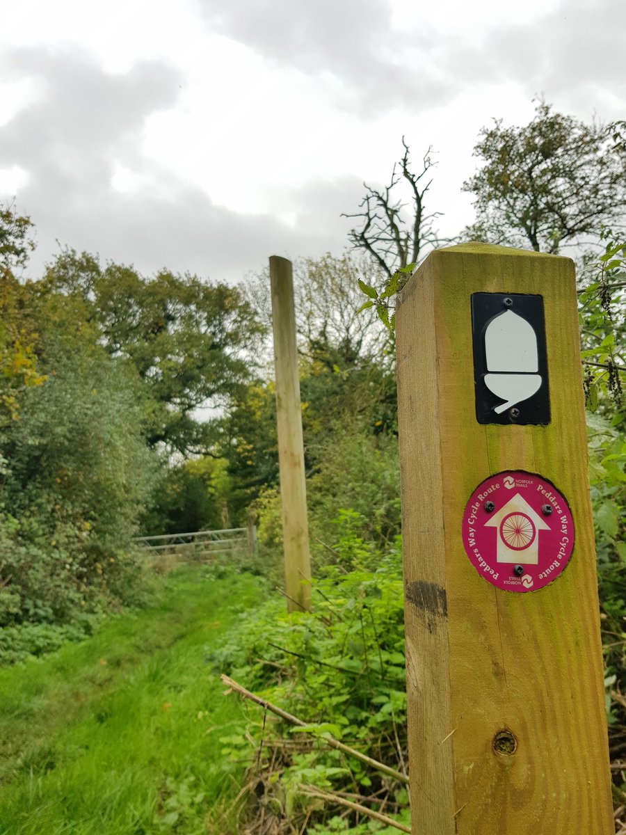 NorfolkTrails's tweet photo. It may be cloudy but it's very warm - perfect for a walk along the Peddars Way near Swaffham #FridayFeeling https://t.co/fwYjdkGoqZ