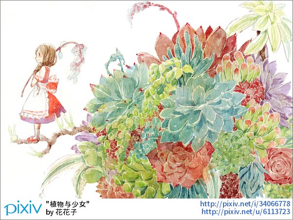 Pixivision 寄せ植えにすると 緑の花束のようでとっても愛らしいっぴね オシャレ度満点 多肉植物が描かれたイラスト特集 T Co Yjlnsylvtj