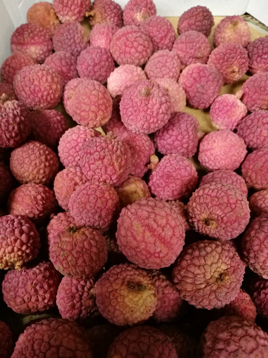 5adayFresh's tweet photo. #strawberries #yummy #lychees #exoticfruit #minneolas #juicy #sweet #satsumas #citrusfamily #vitaminC #energy #healthysnack #treatyourself https://t.co/dC1Zw4JRW0