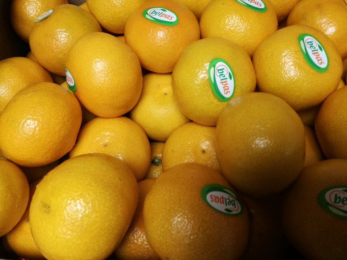 5adayFresh's tweet photo. #strawberries #yummy #lychees #exoticfruit #minneolas #juicy #sweet #satsumas #citrusfamily #vitaminC #energy #healthysnack #treatyourself https://t.co/dC1Zw4JRW0