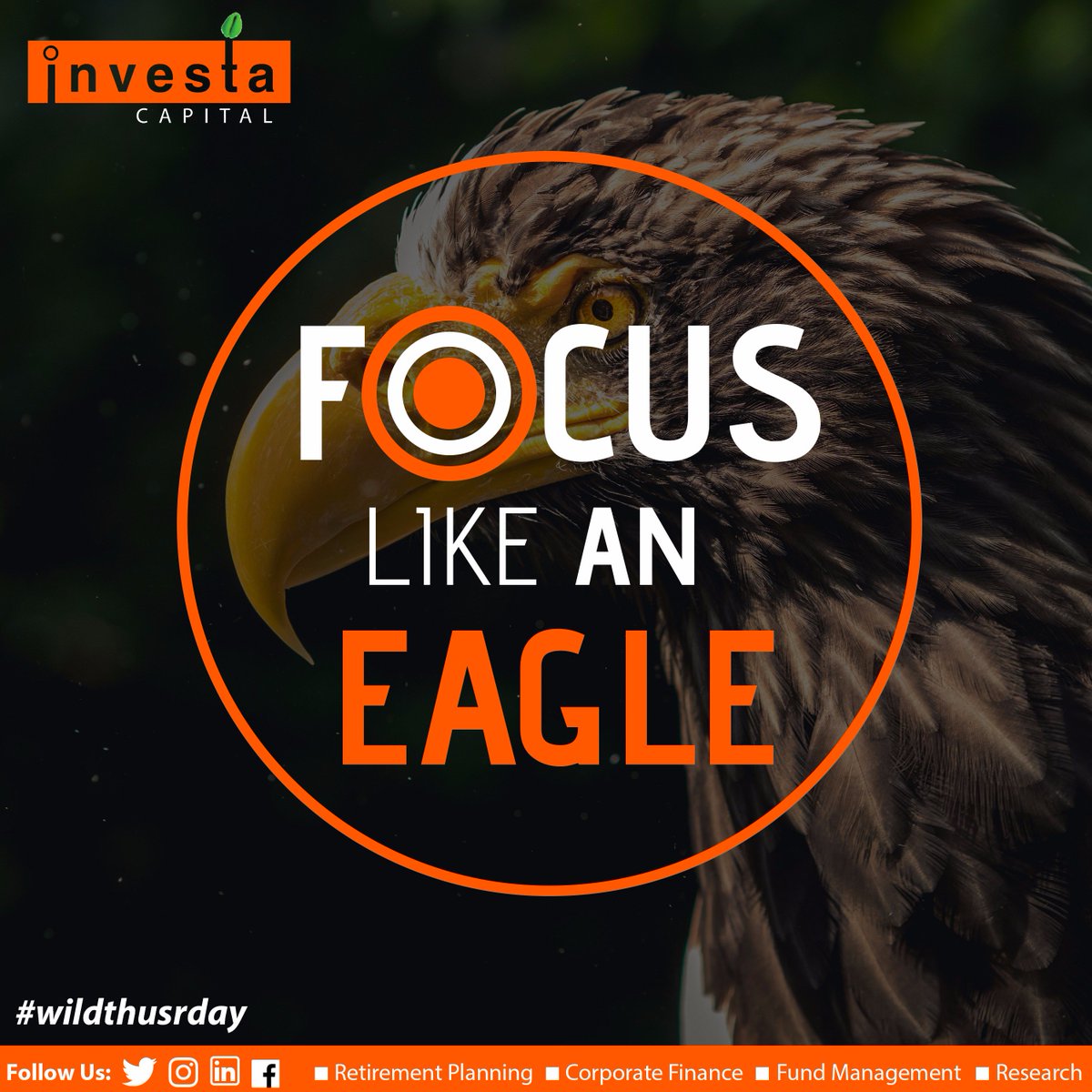 Investa_gh's tweet photo. #investment #investagh #investmentbanking #wildthursday #investacapital #getready #focus https://t.co/HiWvV5f3BW