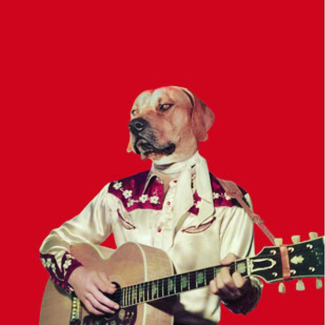 ToolongRecords's tweet photo. 🤘🏻🐶🎤 Participez au financement d'un super projet de disque de reprises d'Elvis
Plus d'infos ici : 
https://t.co/jg0ii53ir3 https://t.co/pt0NdvdOB6