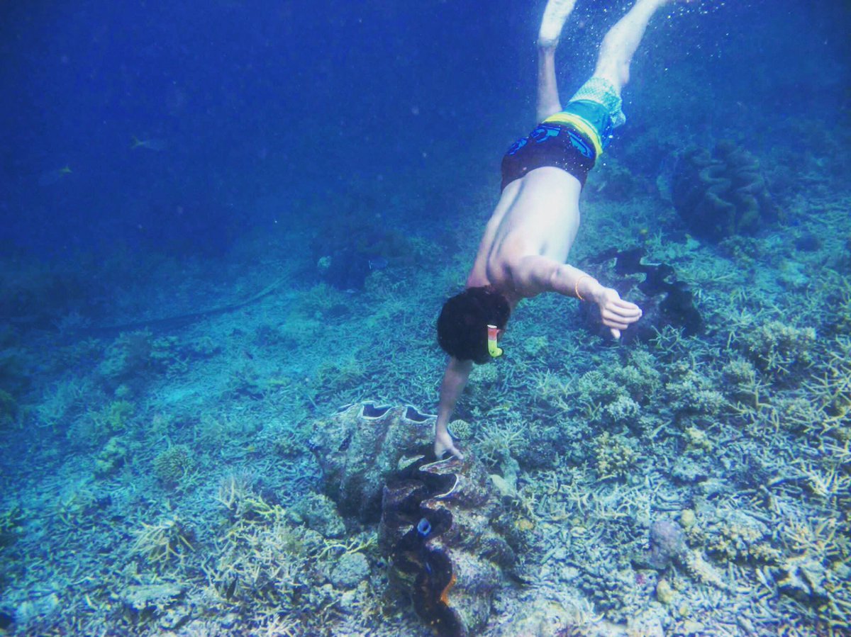 It’s time to go ~
#shellfish #diving #summer #beach #water #lifestyle #life